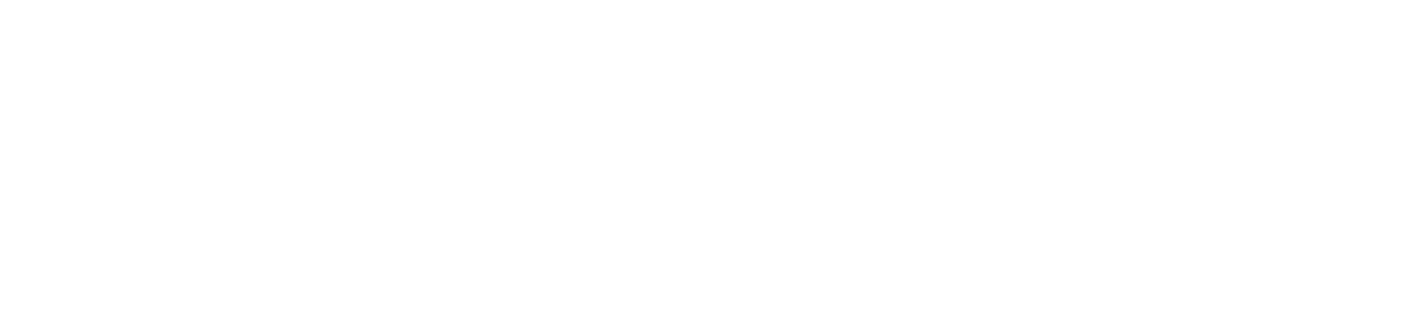Level Up Security